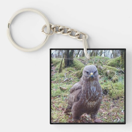 Buzzard mit Tastenanschlag Schlüsselanhänger (Vorderseite)