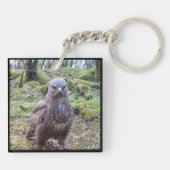 Buzzard mit Tastenanschlag Schlüsselanhänger (Rückseite)