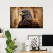 Buzzard Poster (Heimbüro)