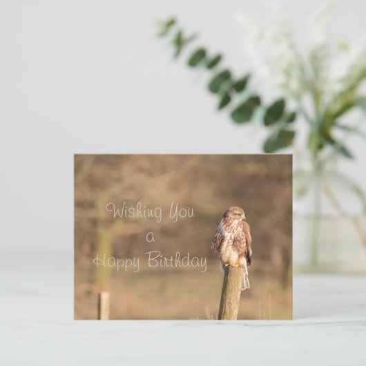 Buzzard Postkarte (Stehend Vorderseite)