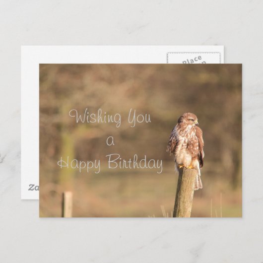 Buzzard Postkarte (Vorne/Hinten)