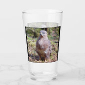 Buzzard Staring Glas (Rückseite)
