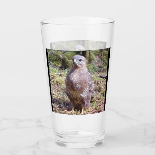 Buzzard Staring Glas (Rückseite)