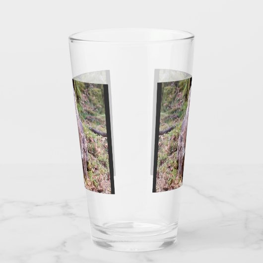 Buzzard Staring Glas (Rechts)