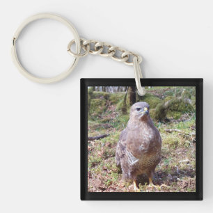 Buzzard Staring Schlüsselring