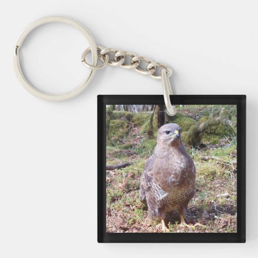 Buzzard Staring Schlüsselring (Vorderseite)