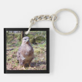 Buzzard Staring Schlüsselring (Rückseite)