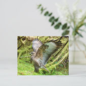 Buzzard Stretching Wings Postkarte (Stehend Vorderseite)