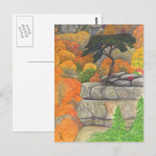 Buzzard's Roost at Fall Creek Falls Postkarte (Vorne/Hinten)