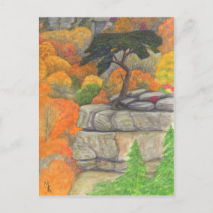 Buzzard's Roost at Fall Creek Falls Postkarte