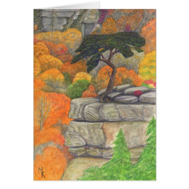 Buzzard's Roost - Fall Creek Falls Staat Park (Vorne)