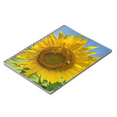 BuZZy Bee & Sunflower Foto Journal Notizblock (Linke Seite)