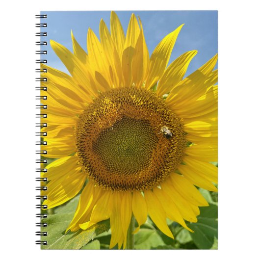 BuZZy Bee & Sunflower Foto Journal Notizblock (Vorderseite)