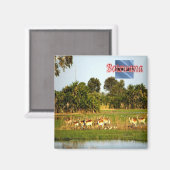 BW009 BOTSWANA, Gruppe der weiblichen Lechwe, Kühl Magnet (Vorderseite/Rückseite)