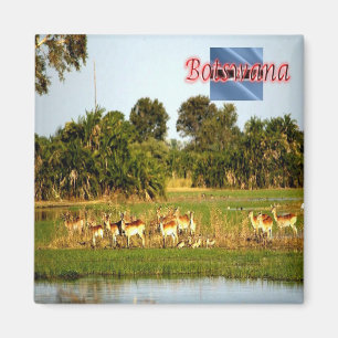 BW009 BOTSWANA, Gruppe der weiblichen Lechwe, Kühl Magnet