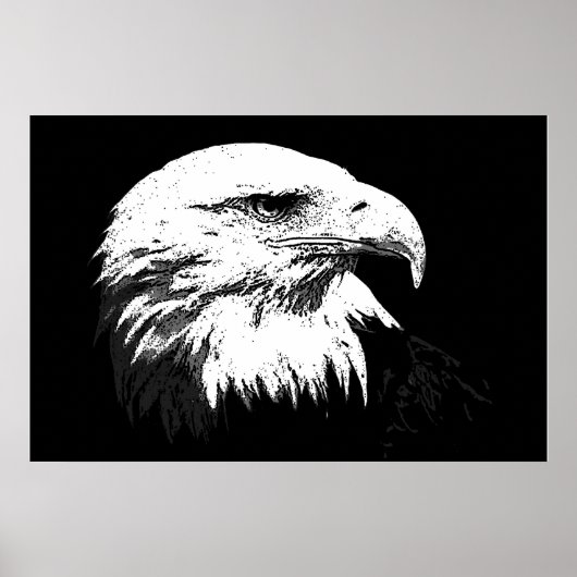 BW American Bald Eagle Poster Print Eagles Posters (Vorne)