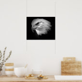 BW American Bald Eagle Poster Print Eagles Posters (Küche)