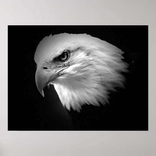 BW American Bald Eagle Poster Print Eagles Posters (Vorne)