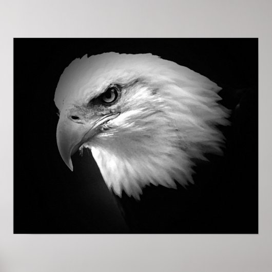 BW American Bald Eagle Poster Print Eagles Posters (Vorne)