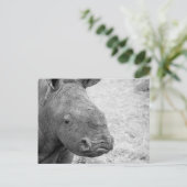 BW Baby Rhino Postcard Postkarte (Stehend Vorderseite)