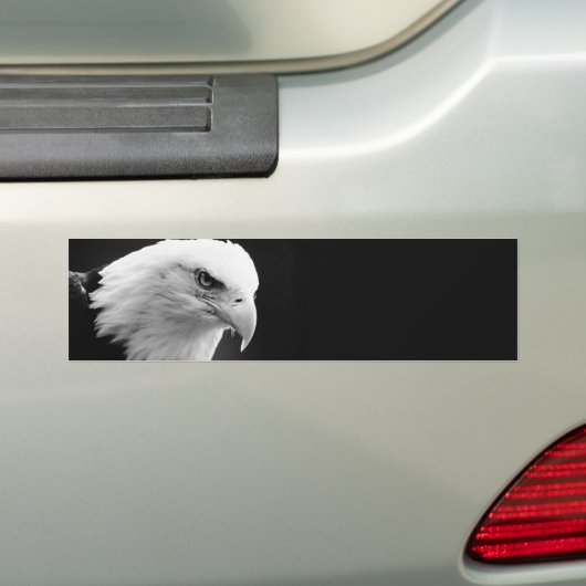 BW Bald Eagle Autoaufkleber (Auf Auto)