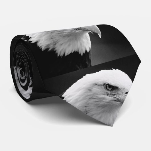 BW Bald Eagle Eye Custom Krawatte (Gerollt)