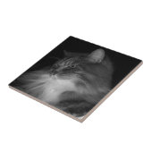 BW Cat Foto von Simba Fliese (Seite)