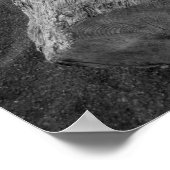 bw driftwood 2 poster (Ecke)