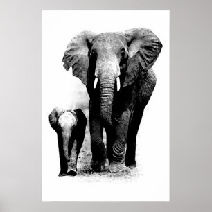 BW Elefant & Baby Elefant Poster