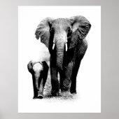 BW Elephant & Baby Elephant Poster (Vorne)