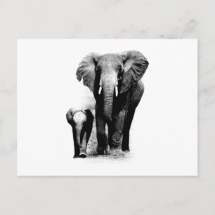 BW Elephant & Baby Elephant Postkarte