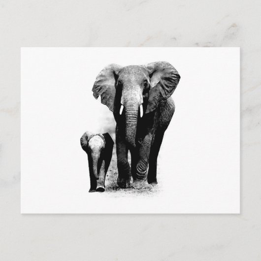 BW Elephant & Baby Elephant Postkarte (Vorderseite)