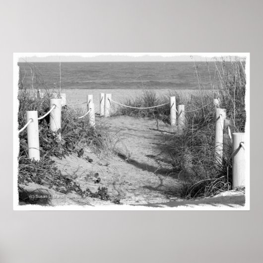 BW Fort Pierce, Florida Strandspaziergang Düne abs Poster (Vorne)