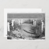 BW Fort Pierce, Florida Strandspaziergang Düne abs Postkarte (Vorne/Hinten)