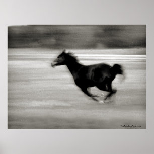 BW Galloping Pferd Poster