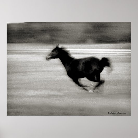 BW Galloping Pferd Poster (Vorne)