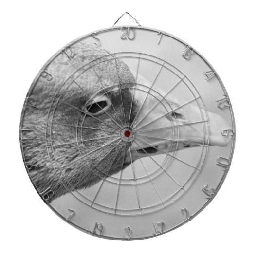 BW Goose Dartscheibe (vorne)