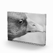 BW Goose Fotoblock (Rechts)