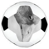 BW Goose Fußball (Gedreht)