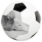 BW Goose Fußball (Dreiviertel)