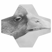 BW Goose Fußball (Flach)