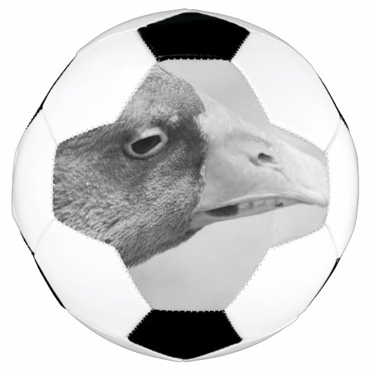 BW Goose Fußball (Vorderseite)