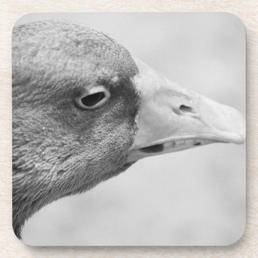 BW Goose Getränkeuntersetzer (Vorderseite)