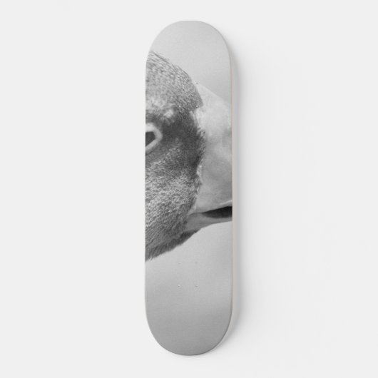 BW Goose Skateboard (Vorderseite)