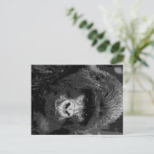 BW Gorilla Face Postkarte (Stehend Vorderseite)