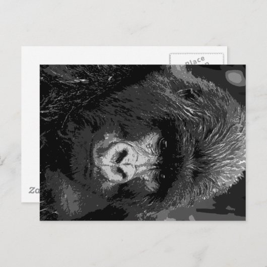 BW Gorilla Face Postkarte (Vorne/Hinten)