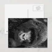 BW Gorillagesicht Postkarte (Vorne/Hinten)