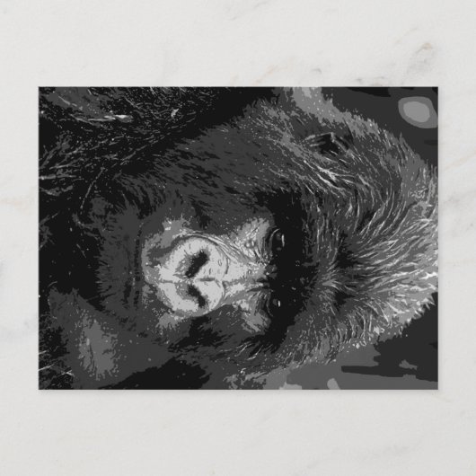 BW Gorillagesicht Postkarte (Vorderseite)