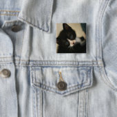 BW-Kätzchen-Knopf Button (Beispiel)