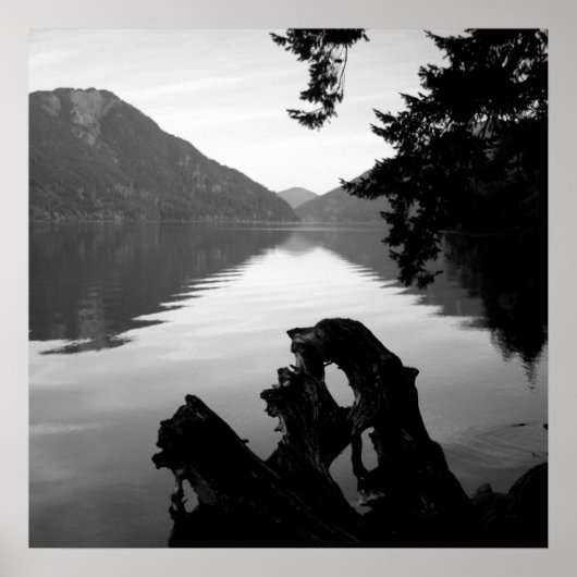 bw lake view 1 poster (Vorne)